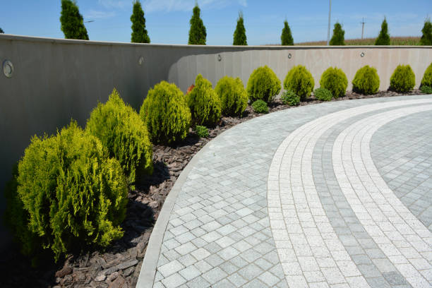 Paver Driveway Replacement in Riviera Beach, FL